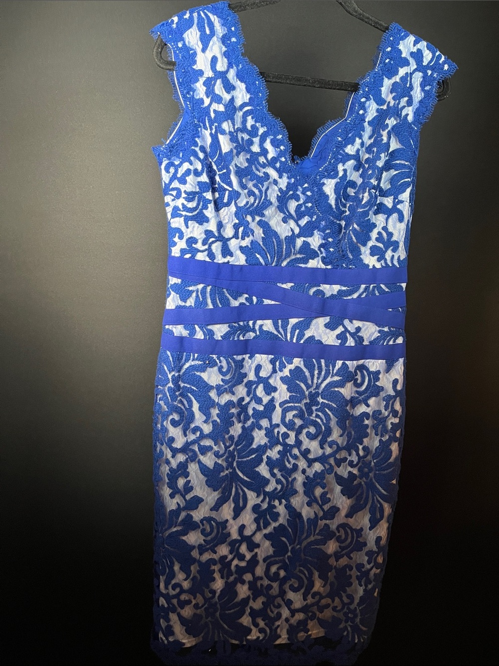 Tadashi Shoji Cobalt Blue Designer Dress Size 12